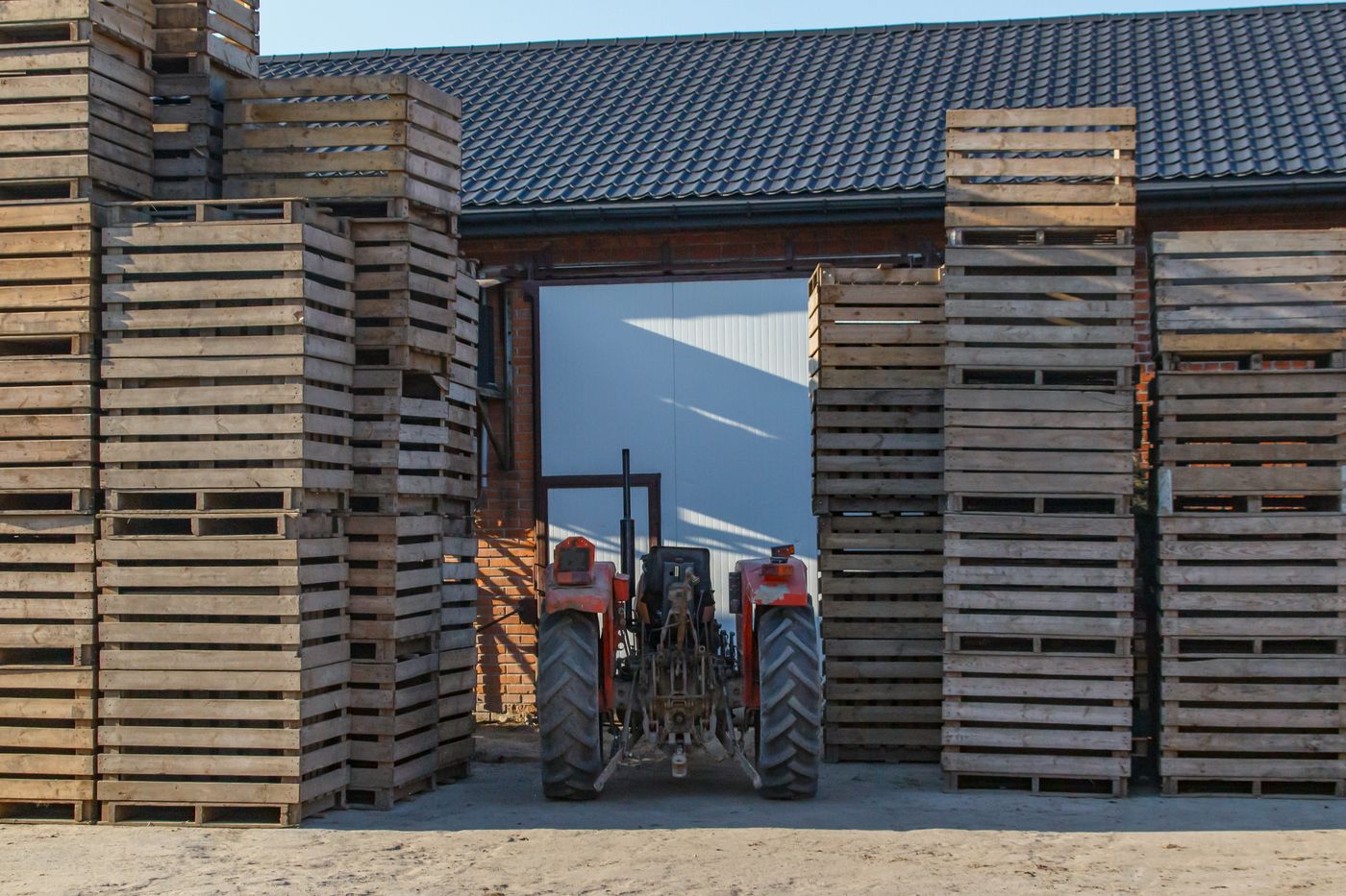 Tractor among stacks of pallets outside a farm facility